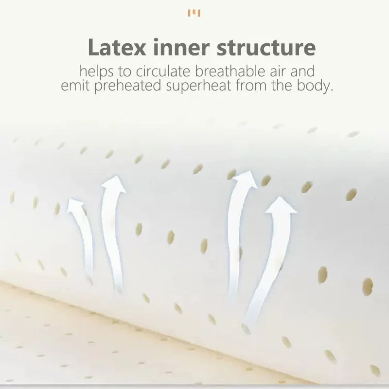 Luxurious Latex Reading Pillow